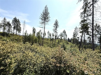 0 Lot 1 Rockabye Ln, Curlew, WA 99118