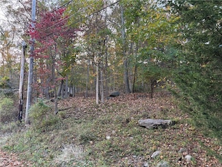 0 Stony Hollow Cir, Lehman Township, PA 18324