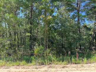 327 Shangri-La St, Interlachen, FL 32148