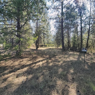 XXX N Highway 395, Kettle Falls, WA 99141