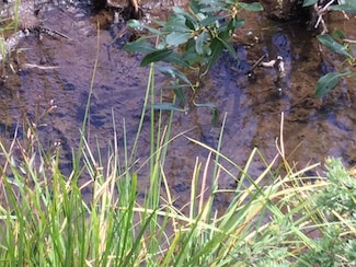 Fs Road 373, Colorado Springs, CO 80906