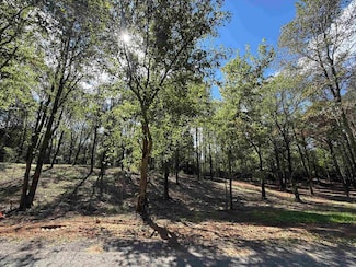 #12B County Road 1123, Vinemont, AL 35179