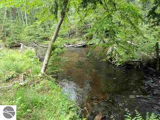 00 Arlington Rd, Kalkaska, MI 49646