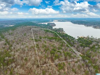 34 Acres- Mtn Constellation Ave Unit 34+ Acres-Mtn Tract, Alpine, AL 35014