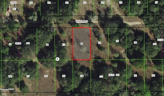 2407 Tyler St, Inverness, FL 34453