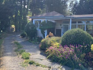 333 Richardson Way, Mill Valley, CA 94941