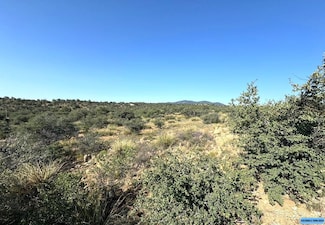 xx Apache Mound Rd, Silver City, NM 88061