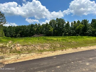 15 Riverwood Cove S, Lake Cormorant, MS 38641