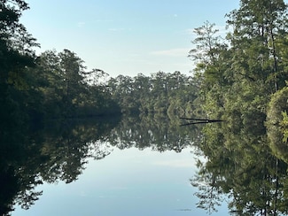 11 Green Rd, Sopchoppy, FL 32358