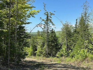 Lot 10 Mt Jefferson Heights, Lee, ME 04455