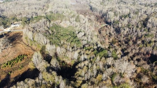 36 Lato Rd, Seale, AL 36875