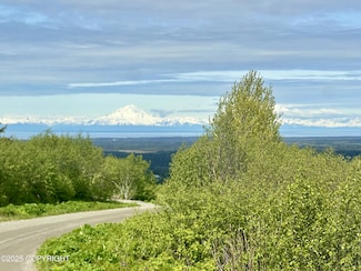 65310 Knob Hill Rd, Anchor Point, AK 99556