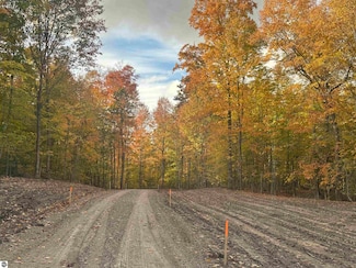 11605 S Tower Rd Unit 5, Kasson Township, MI 49664