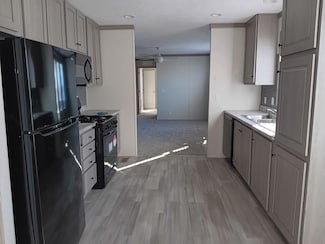 388 Sterling Dr Unit 388, Windsor Charter Township, MI 48821