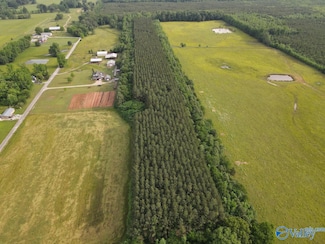 18.5 ACRES County Road 381, Hillsboro, AL 35643