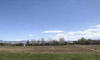 1225 (Lot 7) Lazy v Ln, Fruita, CO 81521