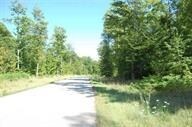 2052 Foxboro Ln, Pellston, MI 49769