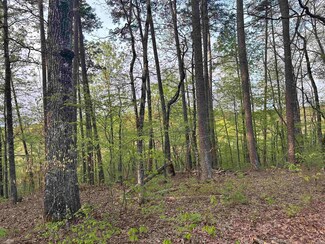 30 Jubileo Way, Hot Springs Village, AR 71909