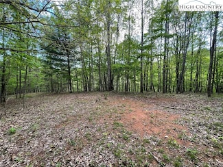 TBD Edwin Blevins Rd, Jefferson, NC 28640