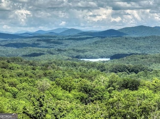 467 Deer Crest Rd, Blue Ridge, GA 30513