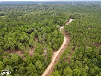 0 Pearce Dr Unit Lot C 23857132, Richton, MS 39476