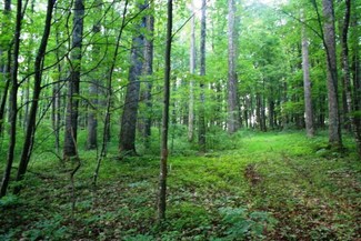 0 Weeks Rd NW, Willis, VA 24380