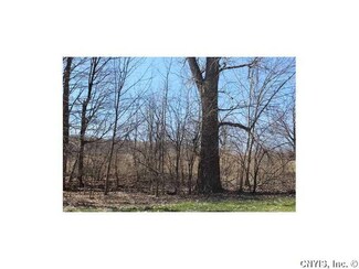 Lot 3 W Lake Rd, Fleming, NY 13021