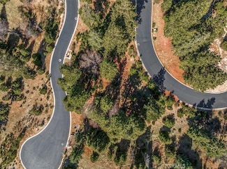 109 Mill Pond Rd, Lake Arrowhead, CA 92352