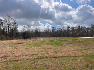 15475 Molly Grace Dr, Prairieville, LA 70769
