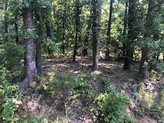 Lot 32 Belgravia Dr, Bella Vista, AR 72715