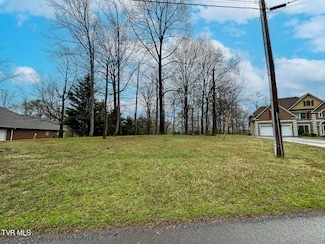 0 David Swann Dr Unit 9978221, Dandridge, TN 37725