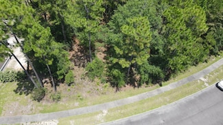 0 Bridge View Rd, Georgetown, SC 29440