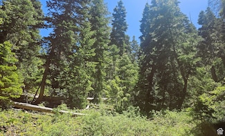 55 Timber Ridge Rd Unit A55, Mount Pleasant, UT 84647