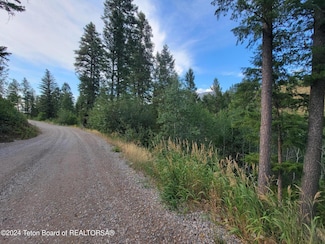L37B4 Cutthroat Run, Irwin, ID 83428