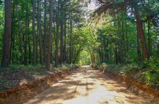 TBD 1 County Road 3271, Mount Enterprise, TX 75681
