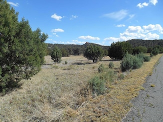 277 Paseo de Aguayo Unit 3, Alto, NM 88312