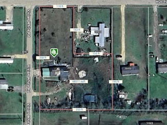 28530 Hutchinson Cemetary Rd, Albany, LA 70711