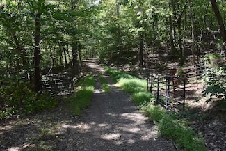 0 Shucks Creek Rd Unit LotWP001, Liberty, KY 42539
