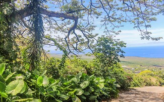 82-5854 Napoopoo Rd, Captain Cook, HI
