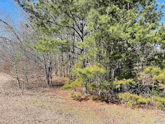 B Lot 17 Cardinal Dr, Guntersville, AL 35976