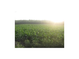 4420 NE Stewart Rd, Weatherby, MO 64497