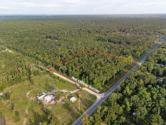 NE Highway 349, Old Town, FL 32680