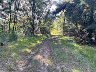 4210 Louisiana 63, Clinton, LA 70722