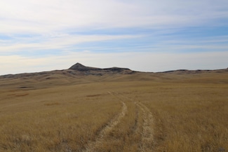 Parcel #42 Cisco Ln, Caputa, SD 57725