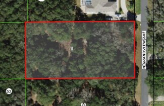 350 N Grandview Ave, Citrus Hills, FL 34442