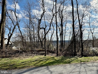 217 & 219 Chapel Ave, Parkesburg, PA 19365