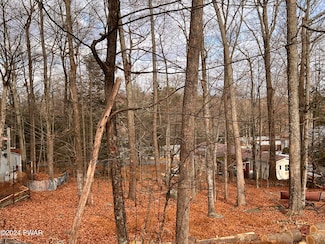 172 Granite Dr, Greene Township, PA 18426