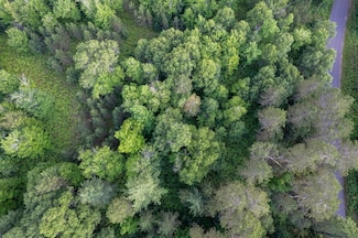 Lot 18 Dad's Lake Rd, Eagle River, WI 54521