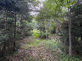 M2 L21-2 S Ridge Rd, Palmyra, ME 04965