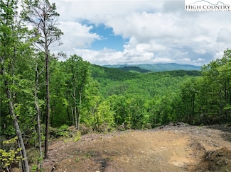 TBD Flat Mountain Rd, Lenoir, NC 28645